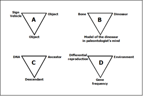 FIGURE 18: GENERAL SIGN TRIAD (BASED ON THE WORK OF ALEXEI A. SHAROV)